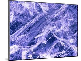 False Col. SEM of Crocidolite Fibres.-Dr. Jeremy Burgess-Mounted Photographic Print