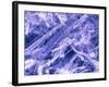 False Col. SEM of Crocidolite Fibres.-Dr. Jeremy Burgess-Framed Photographic Print