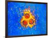 False-col TEM of Varicella-Zoster Virus Particles-null-Framed Photographic Print