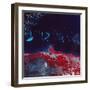 False-Color Aerial Image of Ne Australia and Great Barrier Reef, Taken from Space Shuttle-null-Framed Photographic Print