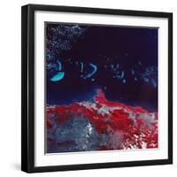 False-Color Aerial Image of Ne Australia and Great Barrier Reef, Taken from Space Shuttle-null-Framed Photographic Print