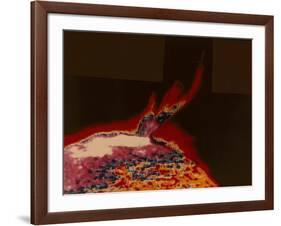 False Colour Image of a Solar Flare from Skylab, 1973-null-Framed Giclee Print