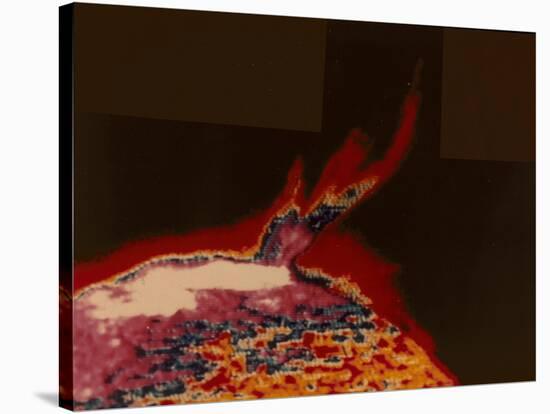 False Colour Image of a Solar Flare from Skylab, 1973-null-Stretched Canvas