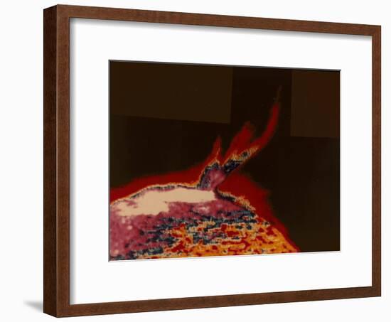 False Colour Image of a Solar Flare from Skylab, 1973-null-Framed Giclee Print