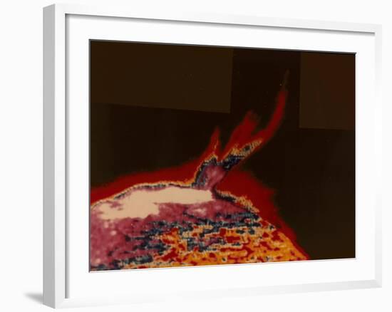 False Colour Image of a Solar Flare from Skylab, 1973-null-Framed Giclee Print