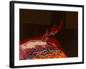 False Colour Image of a Solar Flare from Skylab, 1973-null-Framed Giclee Print