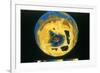 False Colour Image of Antarctic Ozone Hole, 30 November 1992-null-Framed Giclee Print