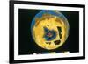 False Colour Image of Antarctic Ozone Hole, 30 November 1992-null-Framed Giclee Print