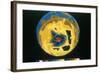 False Colour Image of Antarctic Ozone Hole, 30 November 1992-null-Framed Giclee Print