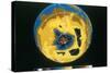 False Colour Image of Antarctic Ozone Hole, 30 November 1992-null-Stretched Canvas