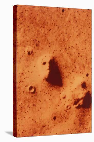 False-colour of Face on Mars-null-Stretched Canvas