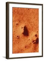 False-colour of Face on Mars-null-Framed Premium Photographic Print