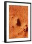 False-colour of Face on Mars-null-Framed Premium Photographic Print