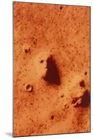 False-colour of Face on Mars-null-Mounted Premium Photographic Print