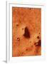 False-colour of Face on Mars-null-Framed Photographic Print