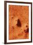 False-colour of Face on Mars-null-Framed Photographic Print