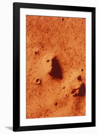 False-colour of Face on Mars-null-Framed Photographic Print