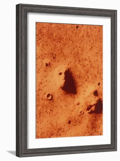 False-colour of Face on Mars-null-Framed Photographic Print