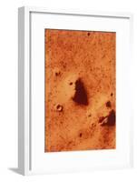 False-colour of Face on Mars-null-Framed Photographic Print