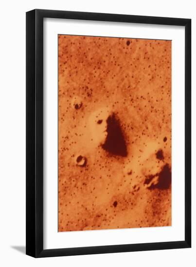 False-colour of Face on Mars-null-Framed Photographic Print