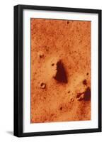 False-colour of Face on Mars-null-Framed Photographic Print