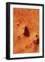 False-colour of Face on Mars-null-Framed Photographic Print