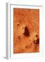 False-colour of Face on Mars-null-Framed Photographic Print
