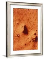 False-colour of Face on Mars-null-Framed Photographic Print