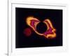 False Colour Photograph of the Sun and the Moon, C1970S-null-Framed Giclee Print