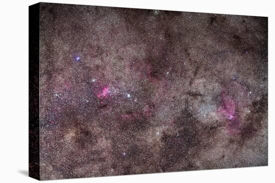 False Comet Area in Scorpius Along with NGC 6188 Nebulosity in Ara-null-Stretched Canvas