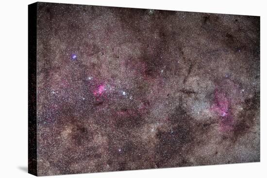 False Comet Area in Scorpius Along with NGC 6188 Nebulosity in Ara-null-Stretched Canvas