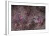 False Comet Area in Scorpius Along with NGC 6188 Nebulosity in Ara-null-Framed Photographic Print