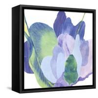 False Indigo II-Carolyn Roth-Framed Stretched Canvas