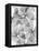 False Shamrock Leaves, X-ray-Koetsier Albert-Framed Stretched Canvas