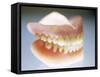 False Teeth-Lawrence Lawry-Framed Stretched Canvas