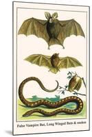 False Vampire Bat, Long Winged Bats and Snakes-Albertus Seba-Mounted Art Print