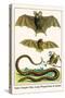 False Vampire Bat, Long Winged Bats and Snakes-Albertus Seba-Stretched Canvas