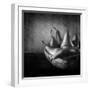 Familia-Moises Levy-Framed Premium Photographic Print