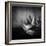 Familia-Moises Levy-Framed Photographic Print