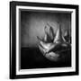 Familia-Moises Levy-Framed Photographic Print