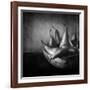 Familia-Moises Levy-Framed Photographic Print