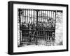 Families Awaiting News of their Loved Ones, Air Ministry, Paris 1944-null-Framed Photographic Print