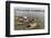 Families in their River Boats at the Local Market in Chau Doc, Mekong River Delta, Vietnam-Michael Nolan-Framed Premium Photographic Print