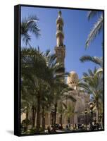 Families Relax after Prayers in Tree-Lined Garden of Abu Al-Abbas, Al-Mursi Mosque, Alexandria-Julian Love-Framed Stretched Canvas