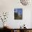 Families Relax after Prayers in Tree-Lined Garden of Abu Al-Abbas, Al-Mursi Mosque, Alexandria-Julian Love-Photographic Print displayed on a wall