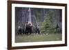 Family Adventure-Staffan Widstrand-Framed Giclee Print