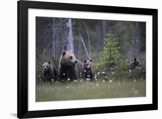 Family Adventure-Staffan Widstrand-Framed Giclee Print