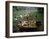 Family at a Picnic-null-Framed Premium Photographic Print