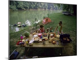 Family at a Picnic-null-Mounted Premium Photographic Print