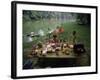 Family at a Picnic-null-Framed Photographic Print